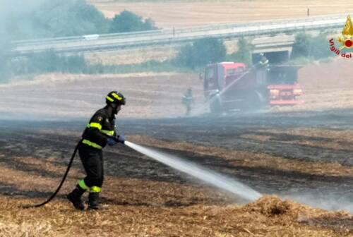 Incendi estivi, a fuoco un campo a Senigallia