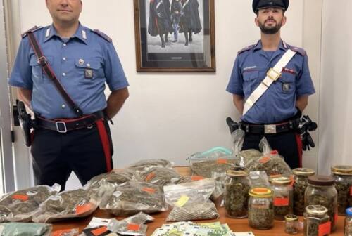 Pesaro, oltre 11 kg di marijuana tra semi e piante: 46enne arrestato