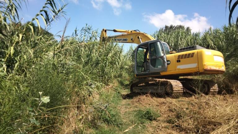 Partiti i lavori di pulizia del fiume Misa a Senigallia