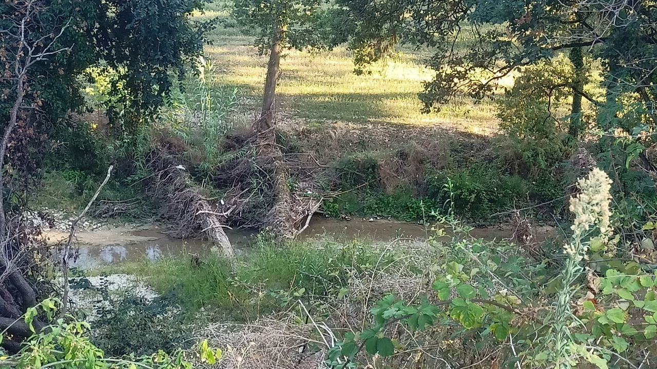 Alberi, tronchi e detriti nel letto del fiume Misa a Rotiglio di Arcevia