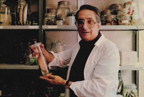 Cnr Irbim Ancona in lutto, morto l’ex direttore Giovanni Bombace
