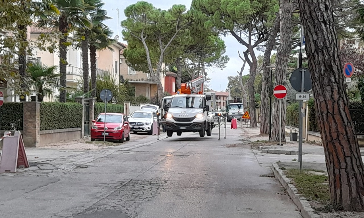 Ripreso il taglio degli alberi in viale Anita Garibaldi, a Senigallia