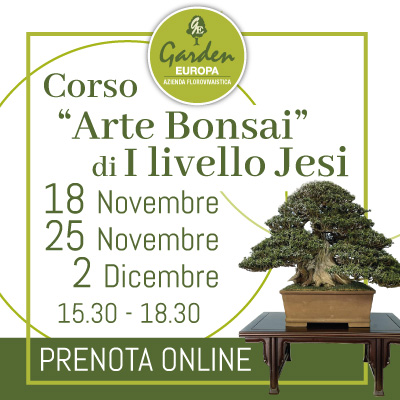 Corso Arte Bonsai Primo Livello Garden Europa Jesi