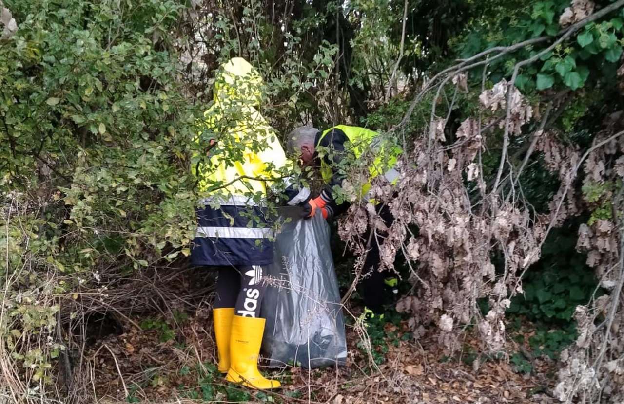 Volontari in azione a Ostra Vetere