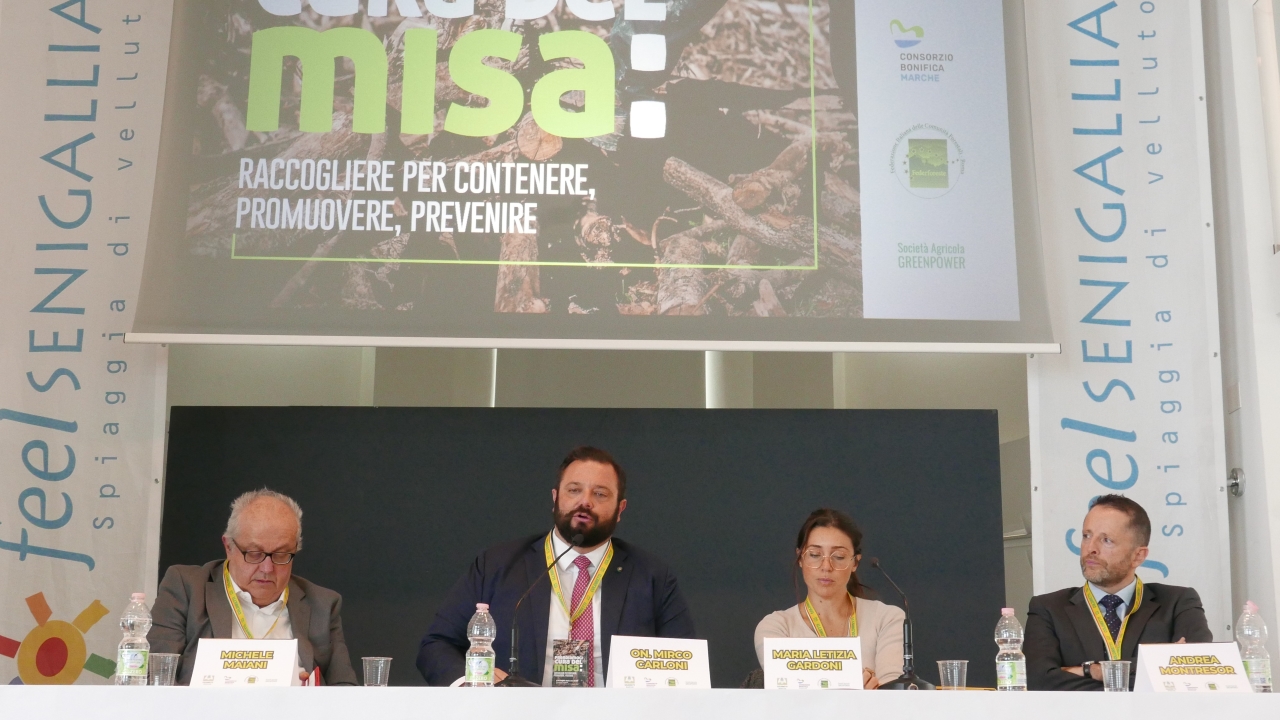 Alla rotonda di Senigallia il convegno sulla gestione del fiume Misa