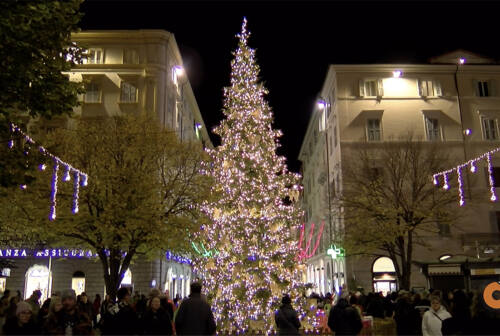 Brilla il Natale di Ancona… acceso l’albero in piazza Roma – VIDEO