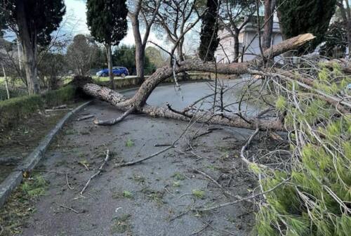 Pesaro, vento a 130 km/h, vie ostruite, danni e blackout