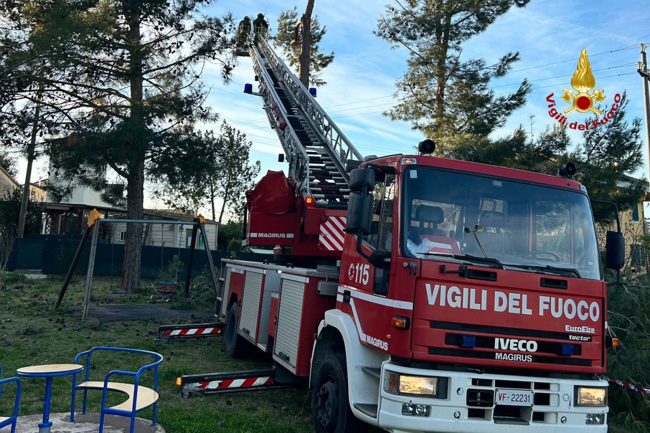 Albero pericolante a Senigallia, vigili del fuoco intervengono al parco giochi