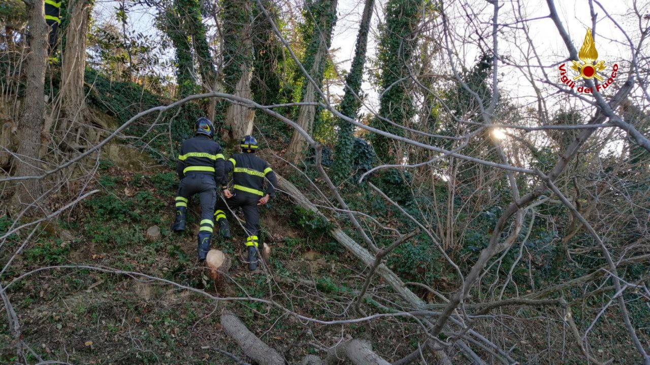 Pesaro, uomo finisce in una scarpata: salvato dai vigili del fuoco