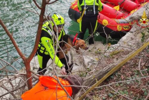 Pesaro, rafting e tecniche alpine per salvare tre cani da burroni e torrenti