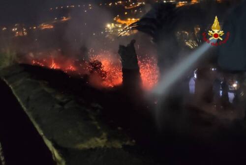 San Benedetto, incendio in un vivaio: bruciano grosse palme