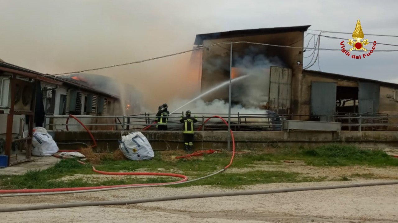 Vigili del fuoco al lavoro per domare l'incendio che ha colpito un'azienda agricola a Serra de' Conti