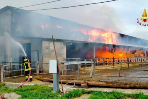 Incendio in un’azienda agricola a Serra de’ Conti