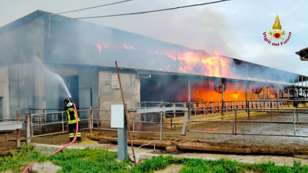 L'incendio che ha colpito una struttura in un'azienda agricola a Serra de' Conti