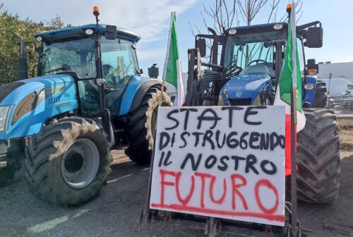 Protesta trattori, prime risposte dalla Regione. Approvati in Consiglio i provvedimenti a tutela degli agricoltori marchigiani