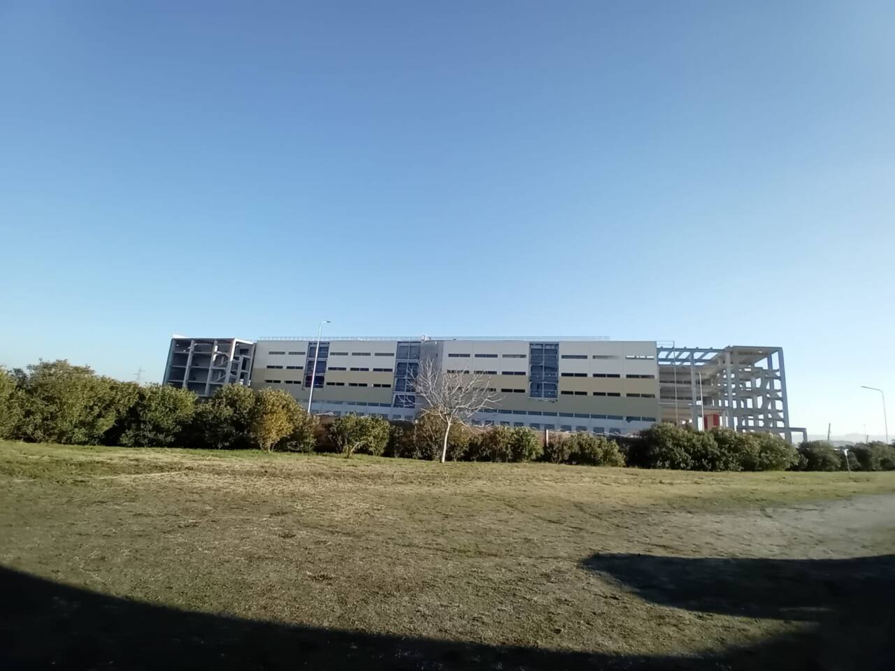 Amazon a Jesi