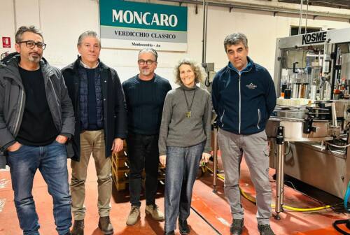 Montecarotto, la neo presidente Manetti di Terre Cortesi Moncaro smentisce i rischi occupazionali