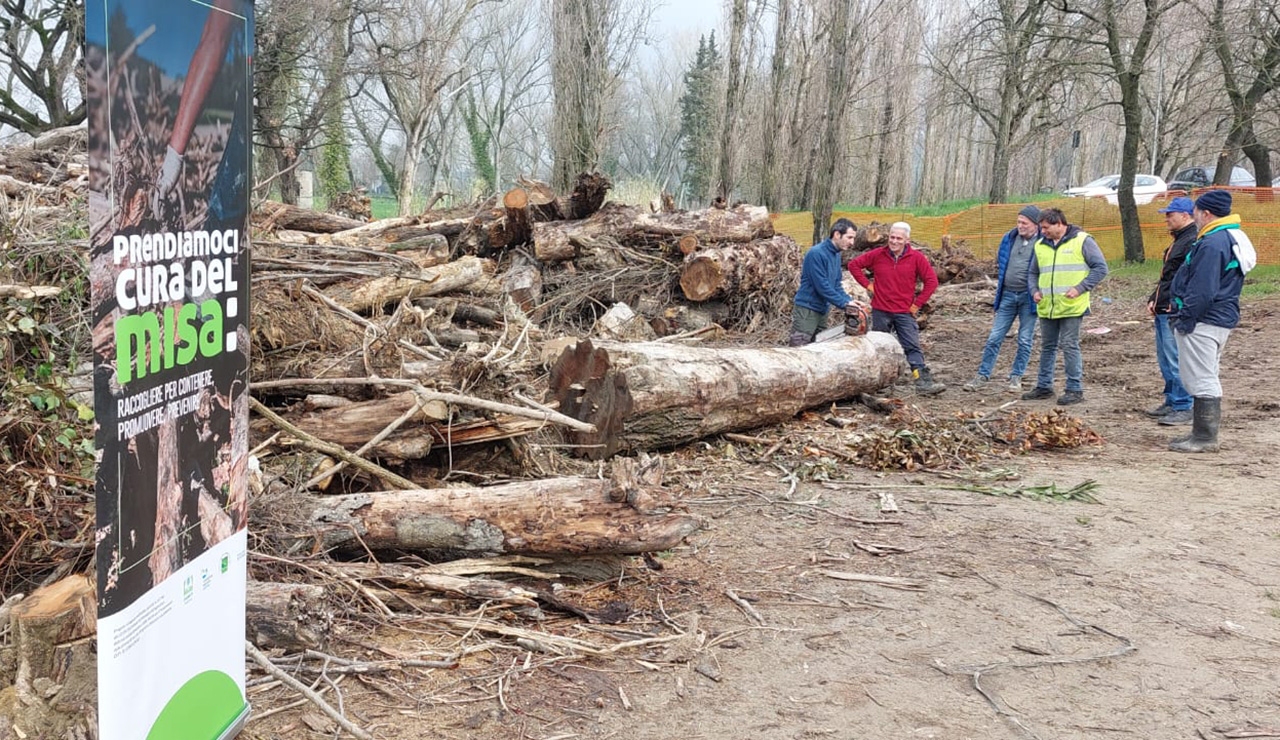 Concluso a Serra de' Conti il corso sulla raccolta della legna degli ambienti fluviali: mantenere pulito il fiume Misa e Nevola per prevenire le alluvioni