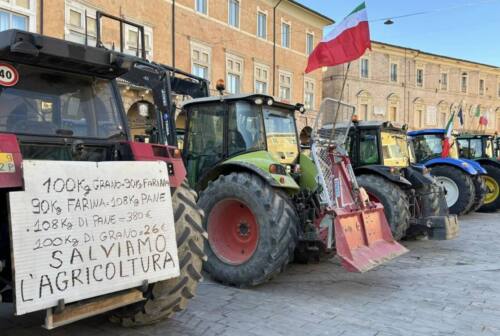 A San Severino di nuovo in piazza la protesta degli agricoltori indipendenti