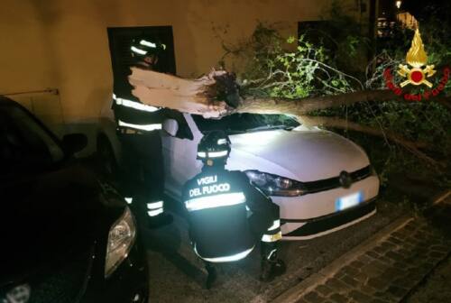 Serra San Quirico, grosso ramo cade su auto in sosta: intervengono i vigili del fuoco