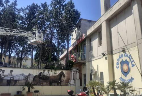Ancona, albero inclinato all’ingresso della sede della Croce Gialla di Ancona: intervengono i vigili del fuoco