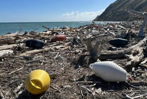 Fiorenzuola di Focara, Mms libera la spiaggia da 3 tonnellate di detriti