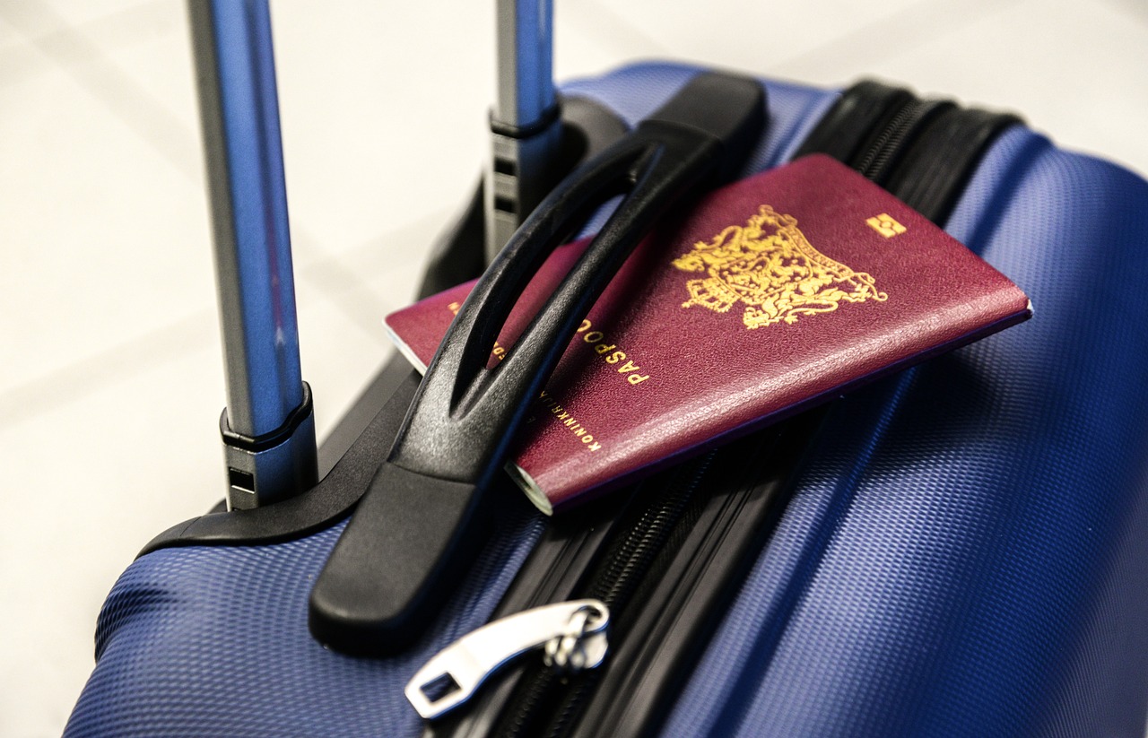 passaporto, valigia, viaggio