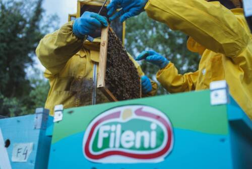 Fileni: al via il progetto “Buon miele non mente” per tutelare la biodiversità