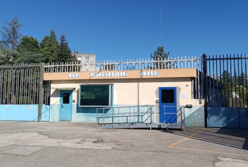 Da Frosinone a Pesaro con la cocaina, secondo arresto in pochi giorni