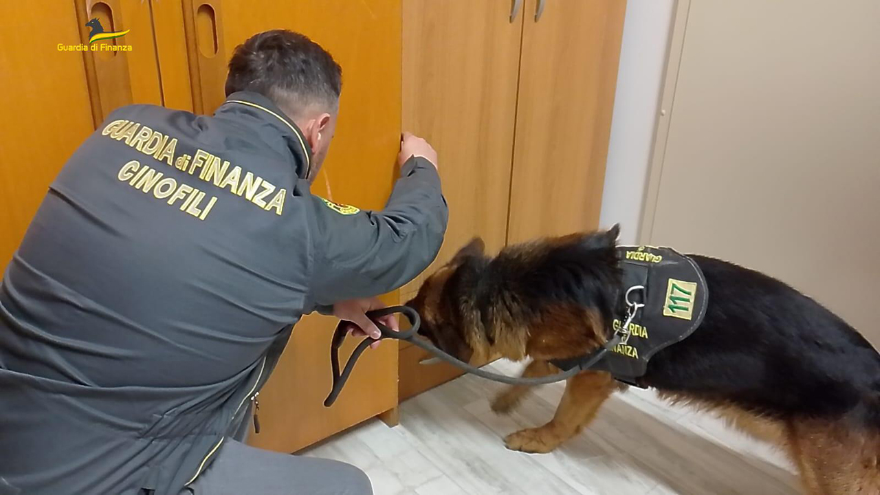 Operazione antidroga della Compagnia di Civitanova Marche con il cane Hanima