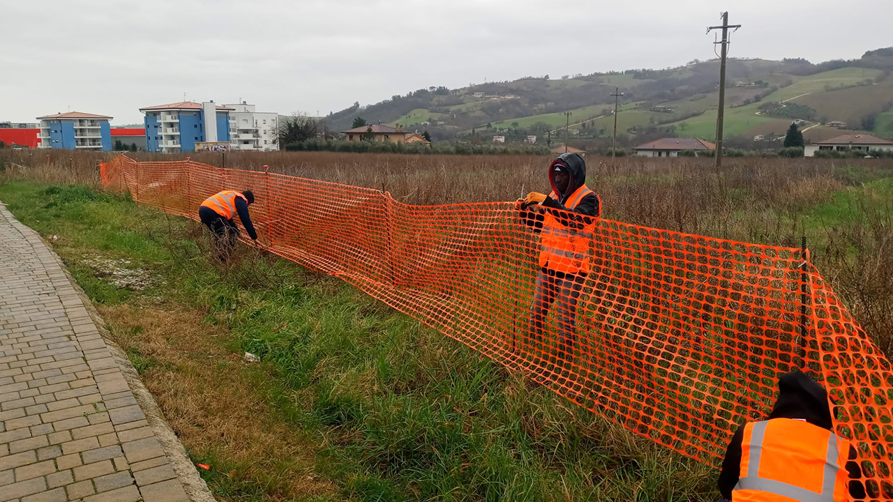 I lavori propedeutici all’effettivo avvio del cantiere per la realizzazione del nuovo polo scolastico in contrada Pace, a Tolentino