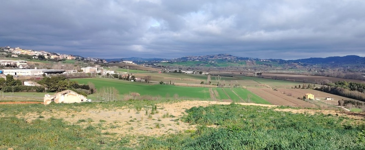 L'area dove dovrebbe sorgere la stazione merci a Castelfidardo