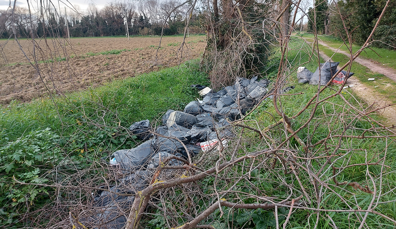Falconara, scarichi abusivi e abbandono illecito di rifiuti: in sei individuati dalla Polizia Locale