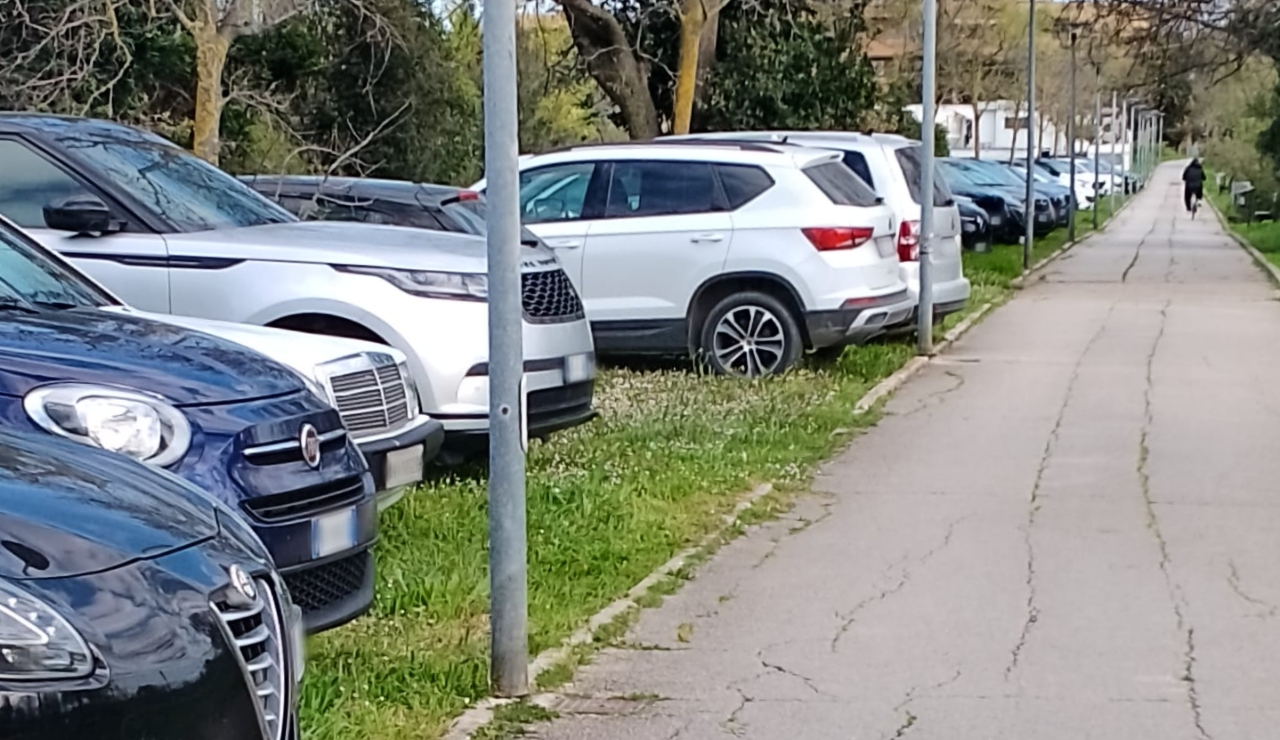 Da parco a parcheggio: l'area verde della Cesanella, a Senigallia, trasformata in una zona di sosta per le macchine
