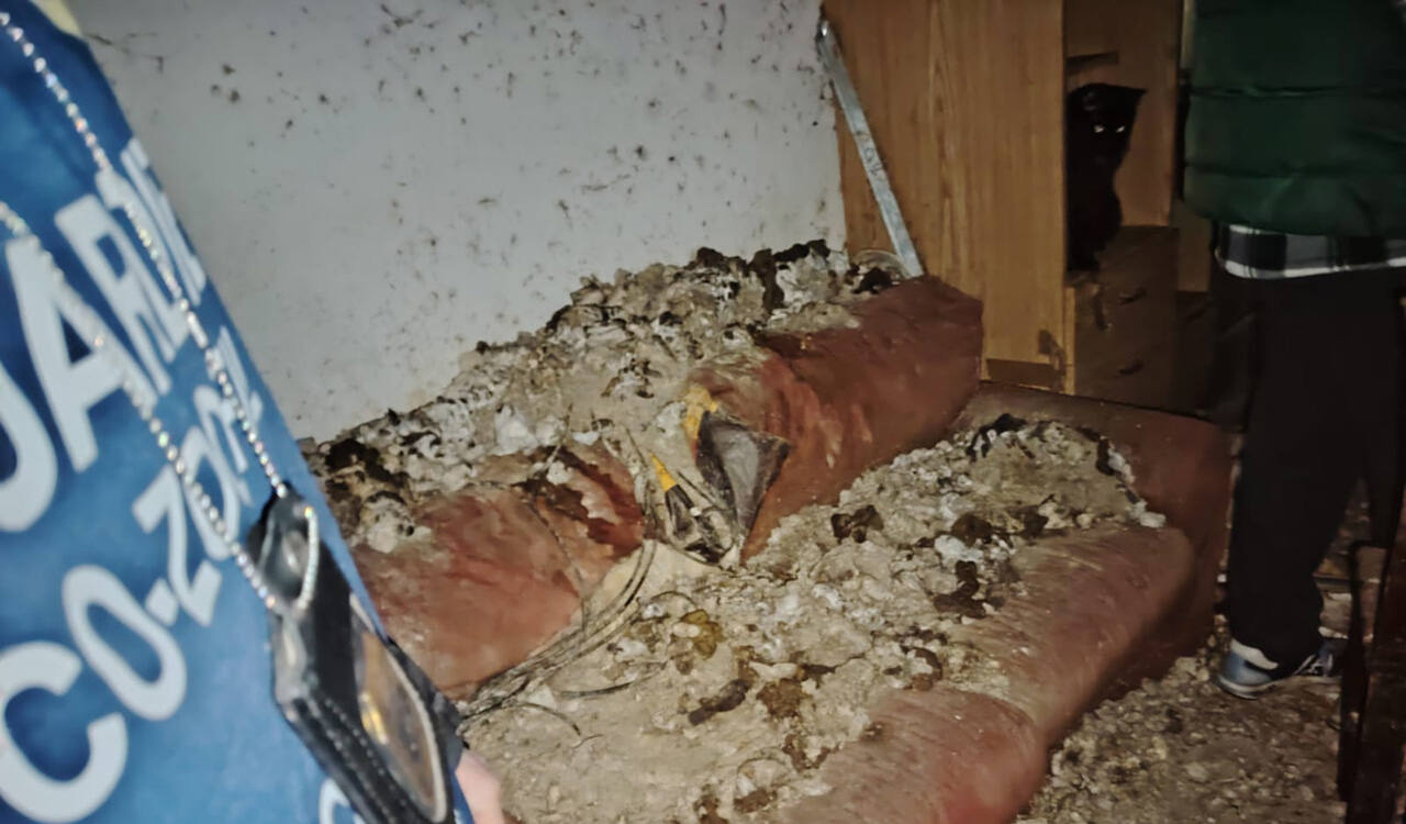 Il locale in provincia di Ancona dove è intervenuta l'Oipa di Ancona per salvare i gatti (Foto Oipa)