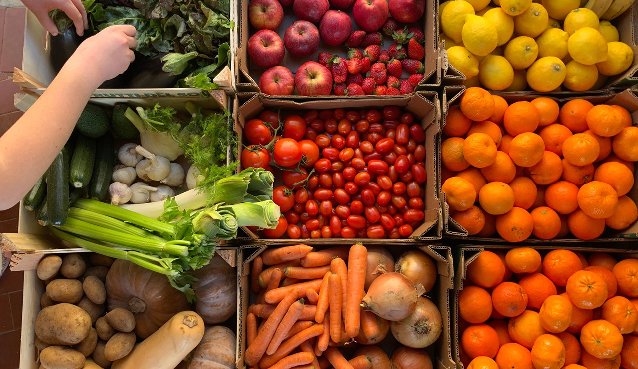 Green Food Week, anche Univpm partecipa con momenti di confronto su alimentazione sana