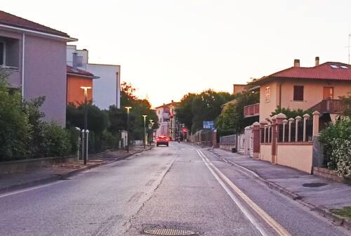 Senigallia, strage di alberi in via Mercantini