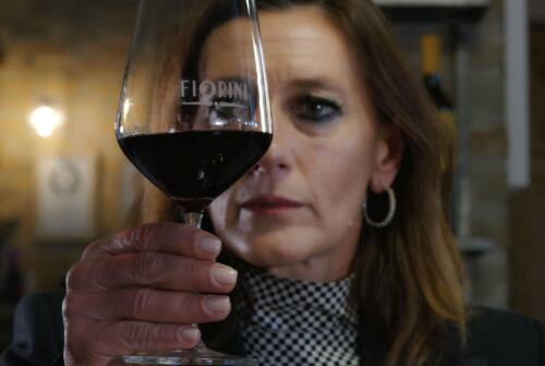 Barchi, la cantina Fiorini su Prime Video