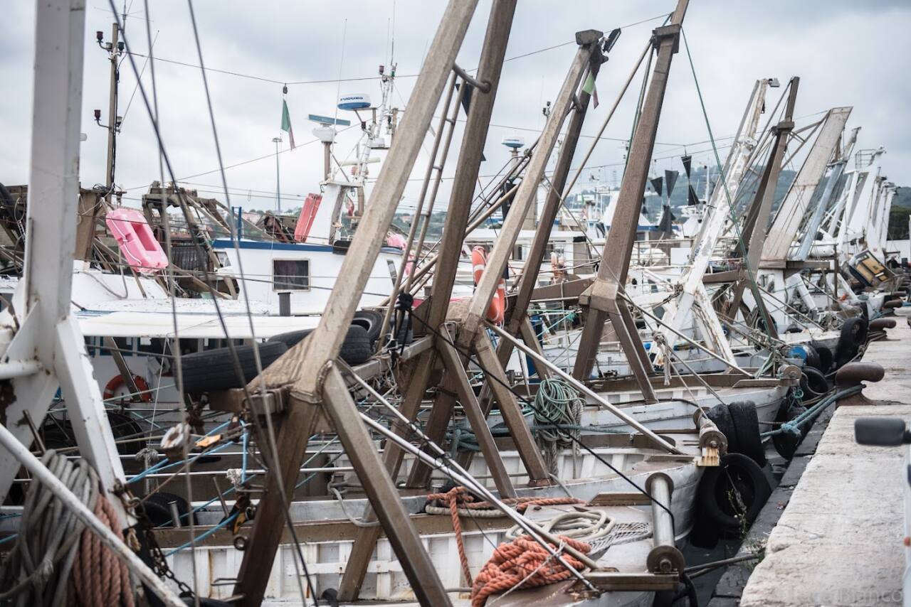 Ancona, il porto (foto Ufficio stampa Tipicità)