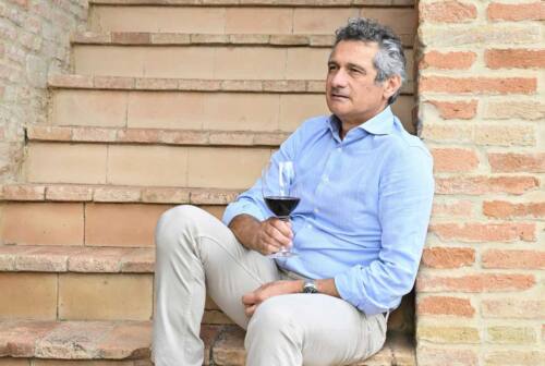 Michele Bernetti confermato presidente dell’Istituto marchigiano di tutela vini