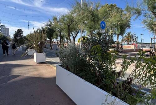 Pesaro, ecco viale Trieste in versione estiva: pedonale e fiorito