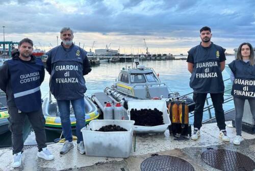 Ancona, pesca di frodo: sequestrati 3mila esemplari di ricci di mare. Tre multati