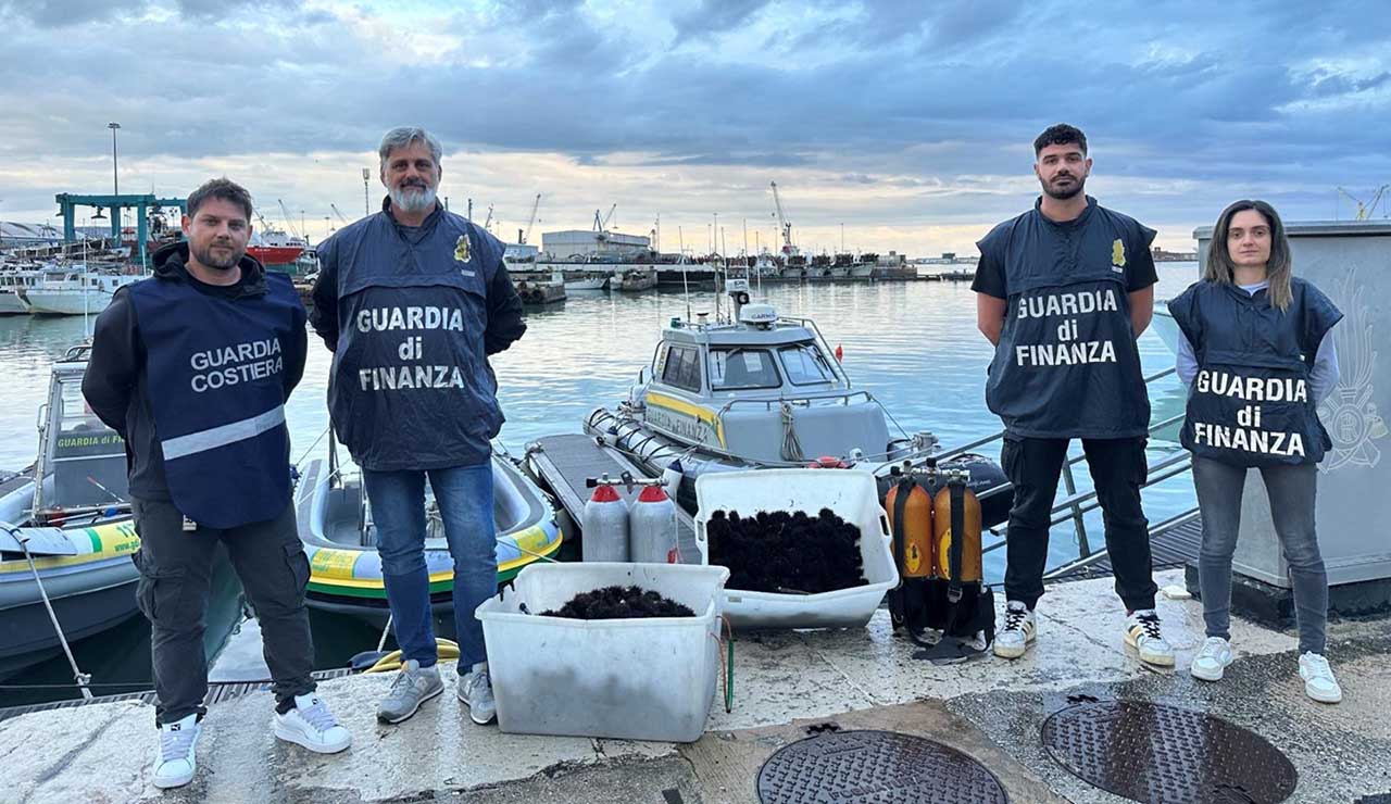 Ancona, pesca di frodo: sequestrati 3mila esemplari di ricci di mare. Tre multati