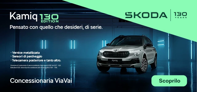 Domina Skoda Kamiq