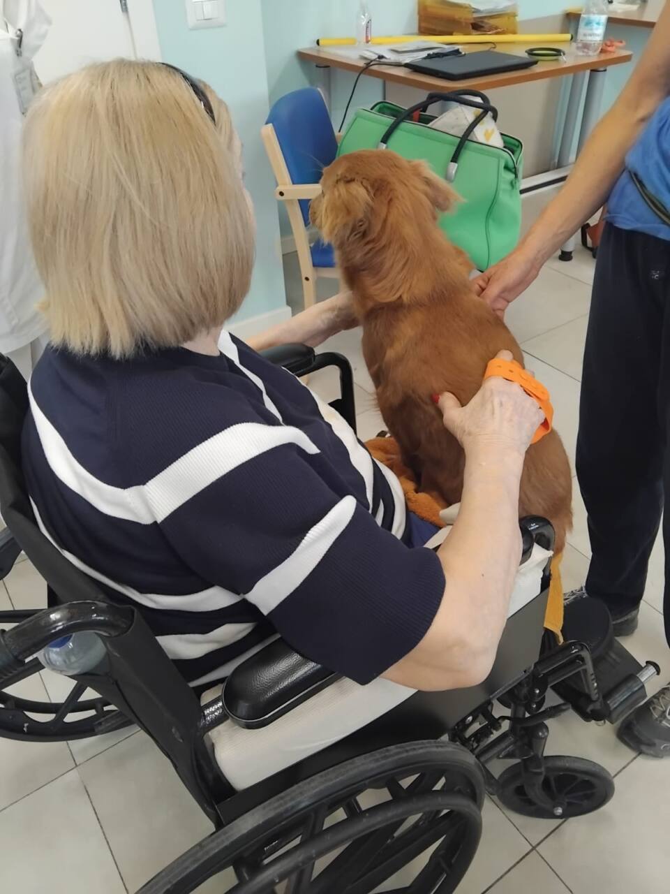 Jesi, Piumetta e Nemo portano la Pet Therapy al Centro per l'Alzheimer