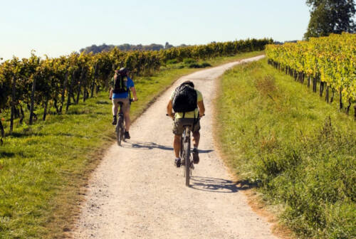 Jesi, “Bike & Wine”: in bici alla scoperta di ville e vigneti