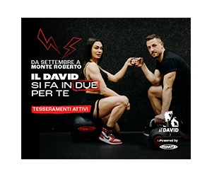 Palestra Il David